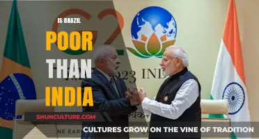Comparing Economic Conditions: Brazil and India in Focus