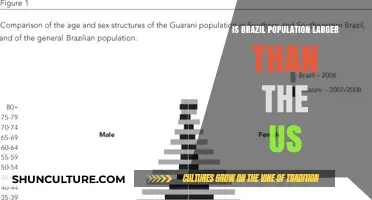 Comparing Giants: Brazil's Population Surpasses the United States