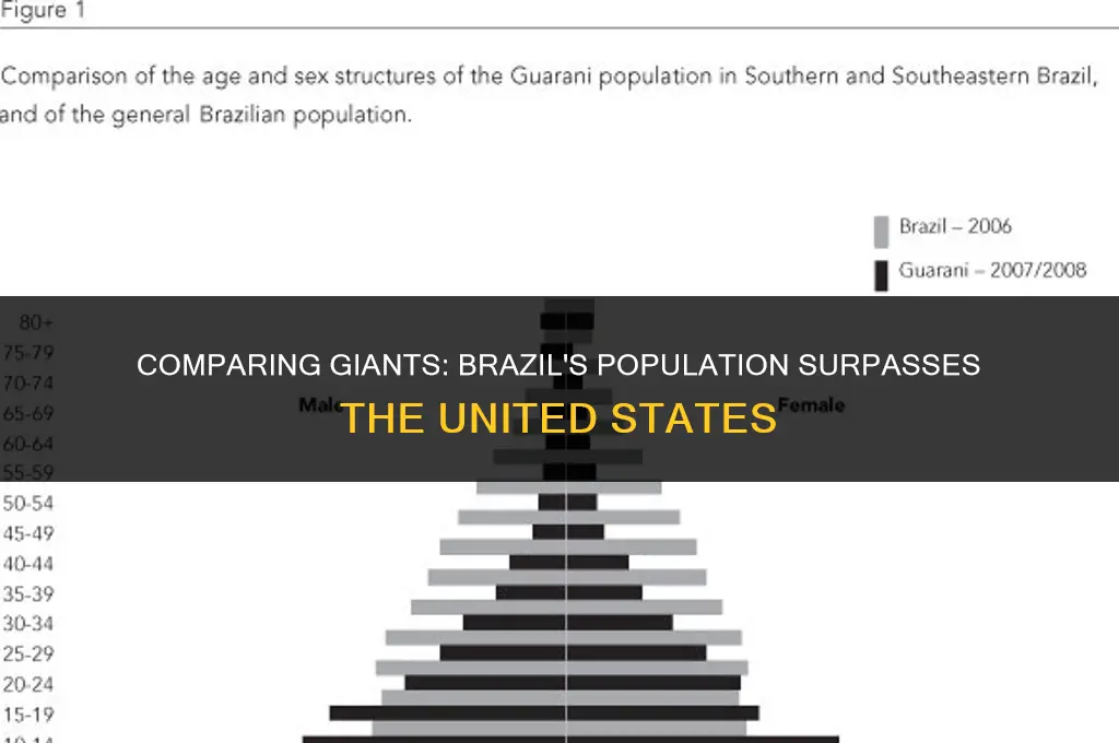 is brazil population larger than the us