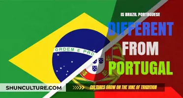Exploring the Unique Flavors: Brazilian vs. Portuguese Language