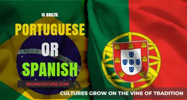 Exploring Brazil's Linguistic Identity: Portuguese or Spanish?