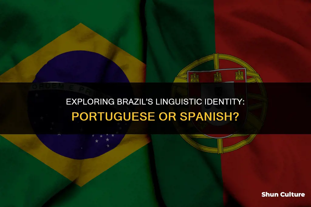 is brazil portuguese or spanish