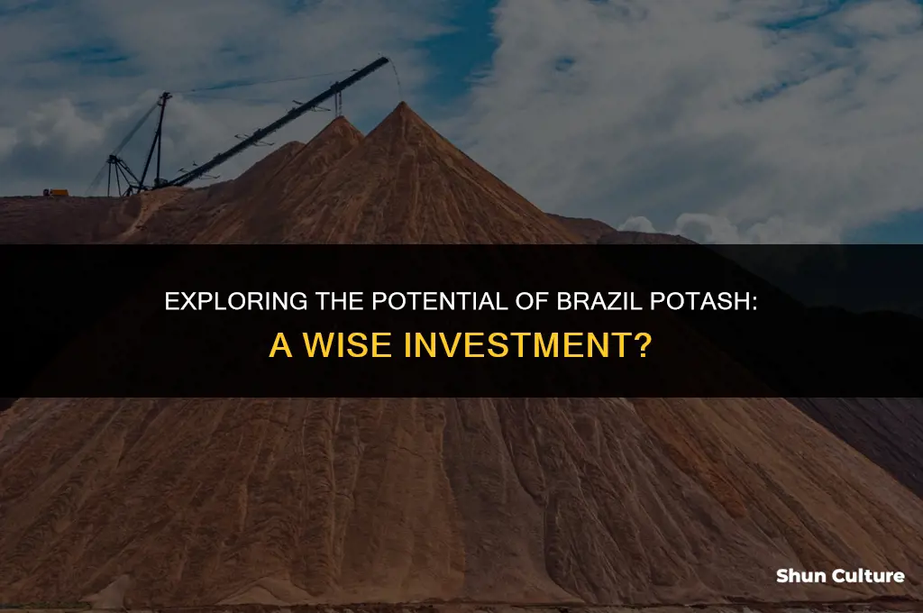 is brazil potash a good investment