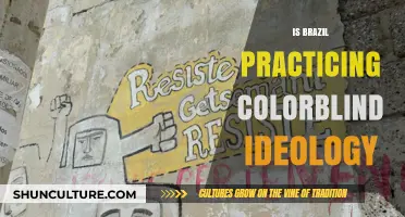 Beyond Race: Brazil's Complex Relationship with Colorblind Ideology
