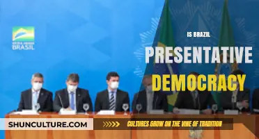 Exploring Brazil's Democratic Landscape: Representation and Reality