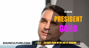 Evaluating Brazil's President: A Comprehensive Analysis of Leadership and Policies