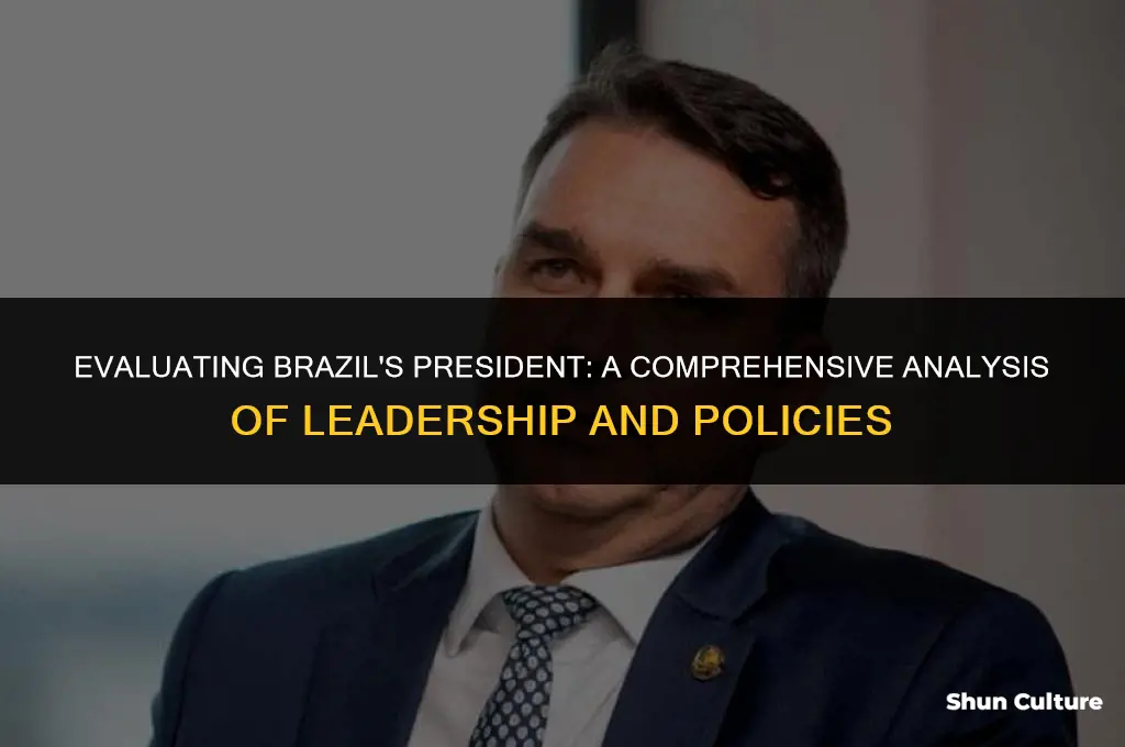 is brazil president good