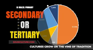 Exploring Brazil's Economic Structure: Primary, Secondary, or Tertiary?