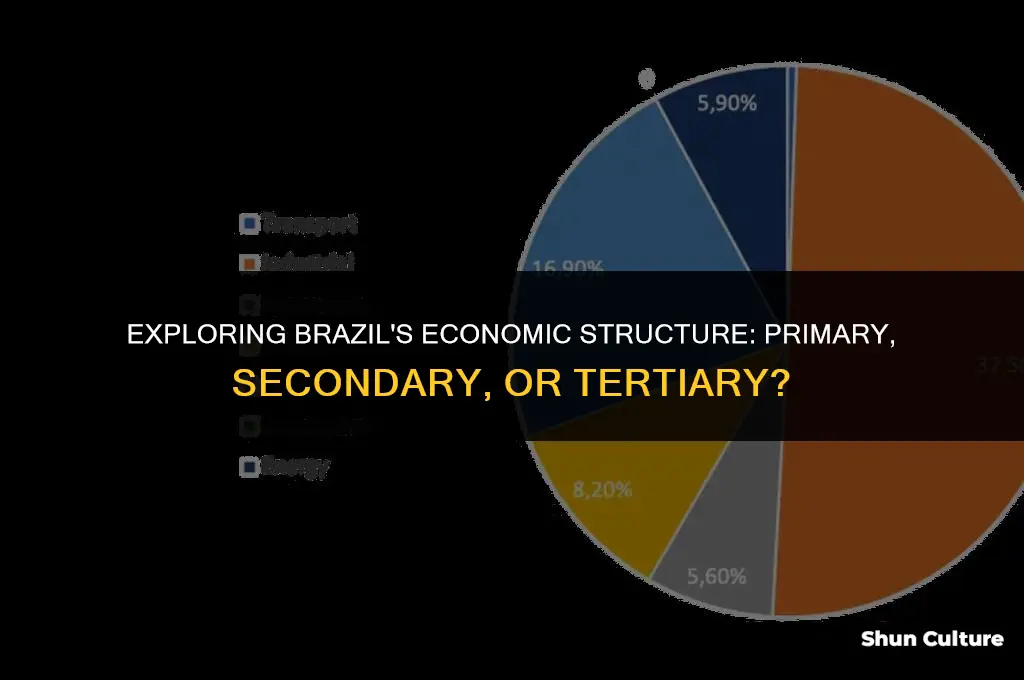 is brazil primary secondary or tertiary