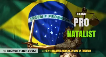 Exploring Brazil's Natalist Policies: A Comprehensive Analysis