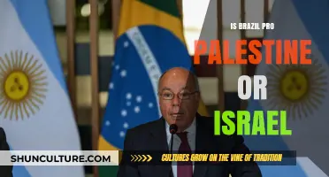 Brazil's Stance on the Israel-Palestine Conflict: A Deep Dive