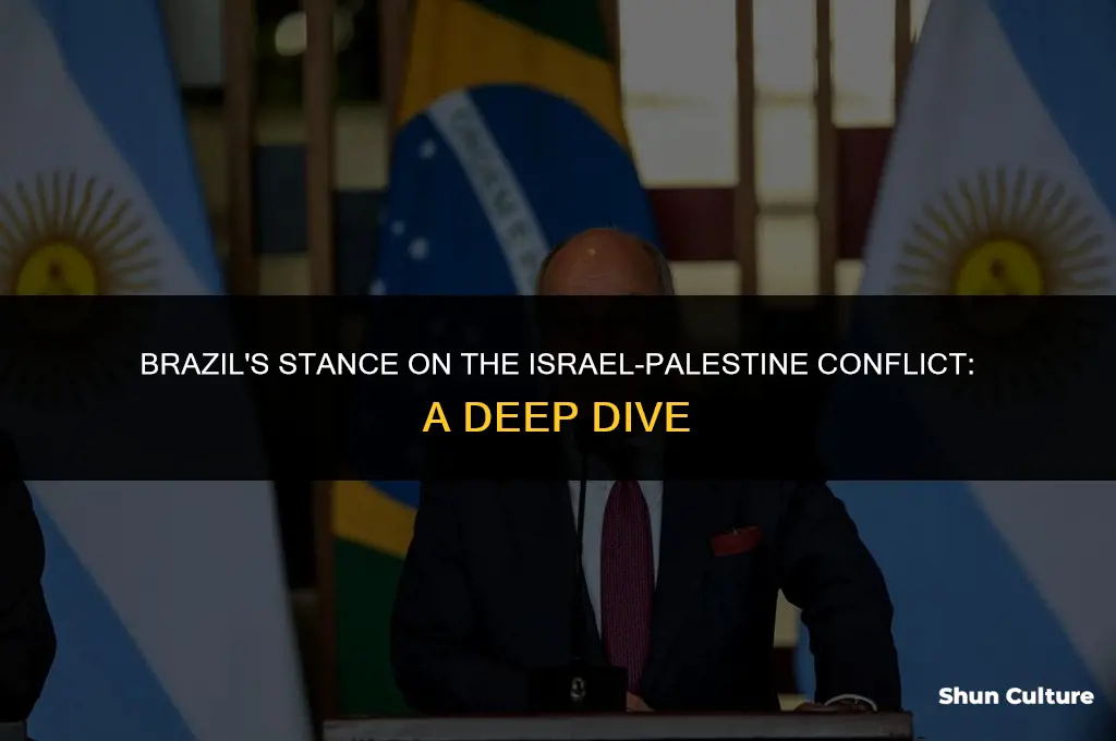 is brazil pro palestine or israel