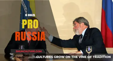 Brazil's Stance on Russia: A Complex Geopolitical Landscape