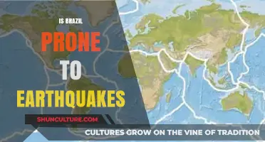 Assessing Brazil's Seismic Activity: Prone to Earthquakes?