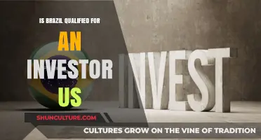 Brazil's Investment Potential: A Qualified Opportunity for US Investors?
