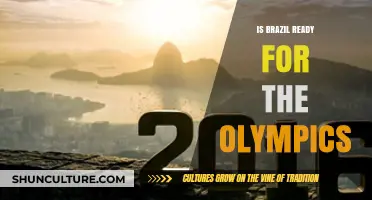 Brazil's Olympic Readiness: A Countdown to the Games