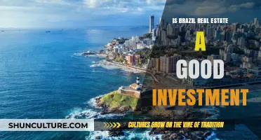 Exploring the Potential of Brazil's Real Estate Market