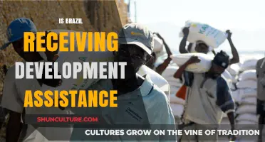 Assessing Brazil's Development Assistance: A Comprehensive Overview
