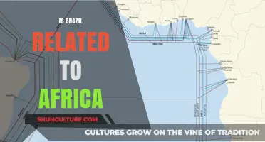 Exploring the Cultural and Historical Ties Between Brazil and Africa