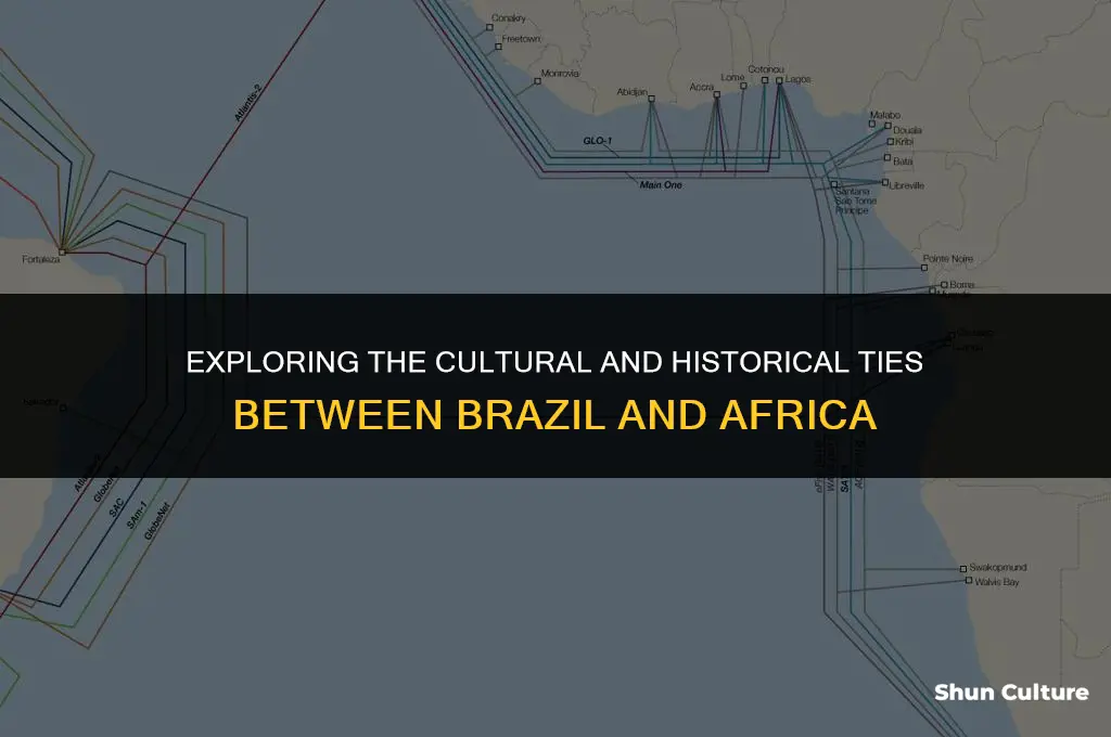is brazil related to africa