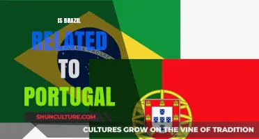 Exploring the Deep-Rooted Connection Between Brazil and Portugal