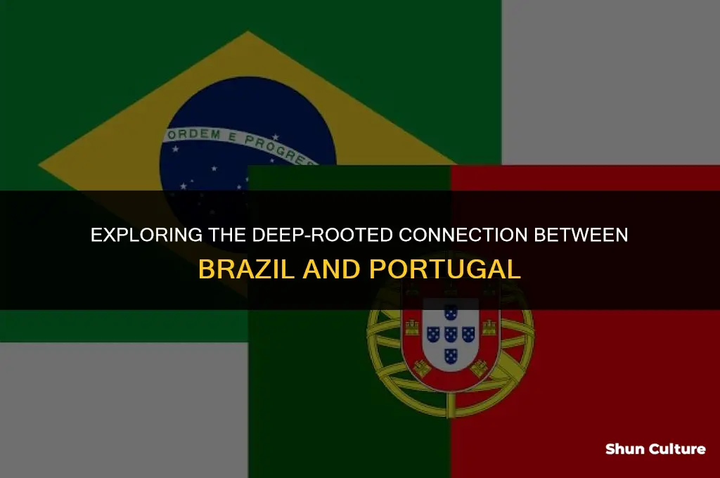 is brazil related to portugal