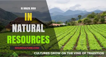 Brazil's Bounty: Unveiling the Nation's Abundant Natural Resources