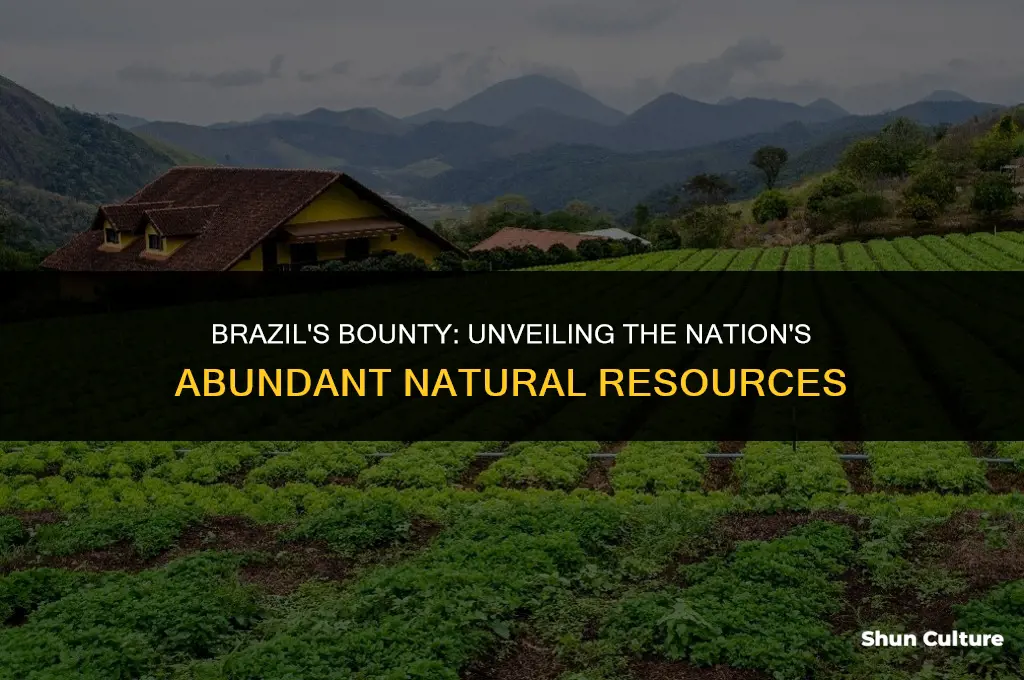 is brazil rich in natural resources