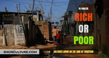 Brazil's Economy: Unraveling the Rich-Poor Paradox and Its Global Impact