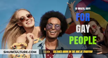Is Brazil Safe for LGBTQ+ Travelers? Exploring the Reality