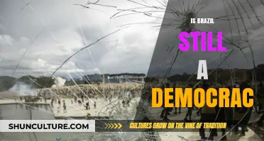 Is Brazil Still a Democracy? Analyzing Threats and Resilience Today