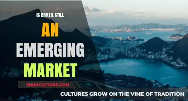 Is Brazil Still an Emerging Market? Analyzing Its Economic Evolution