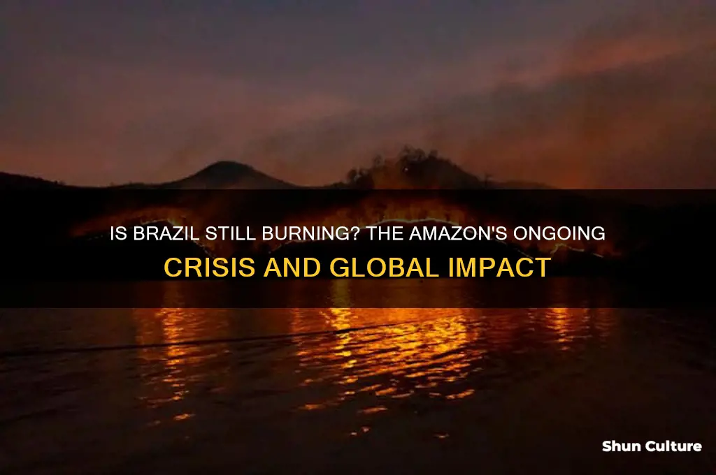 is brazil still burning