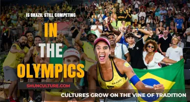 Brazil's Olympic Journey: Current Status and Future Prospects