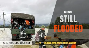 Brazil's Flood Crisis: Current Status and Recovery Efforts