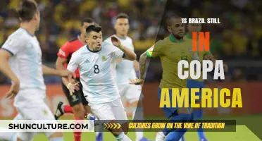 Is Brazil Still in Copa America? Latest Updates and Insights