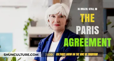Brazil's Commitment: Still Upholding the Paris Agreement?