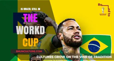 Is Brazil Still in the World Cup? Latest Updates and Insights