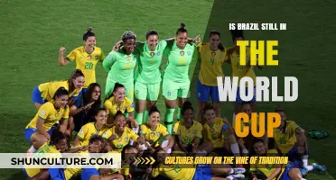 Brazil's World Cup Journey: Are They Still in the Running?