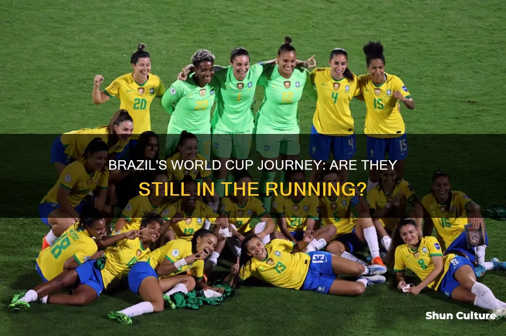 is brazil still in the world cup
