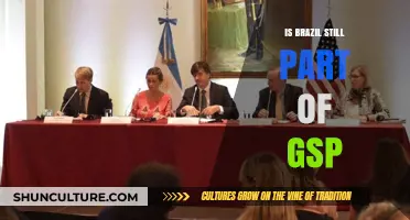 Is Brazil Still Eligible for GSP Trade Benefits?