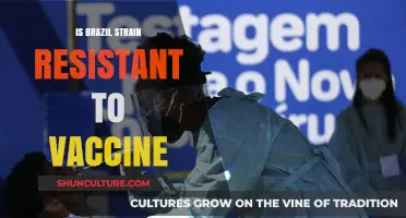Brazil COVID-19 Variant: Vaccine Resistance Concerns and Facts