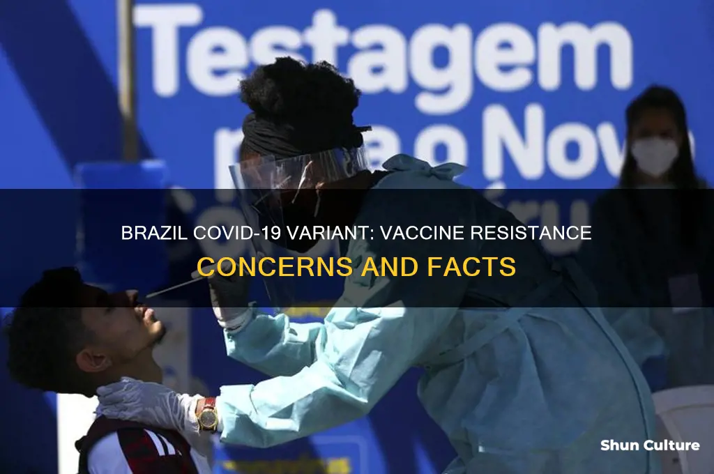 is brazil strain resistant to vaccine