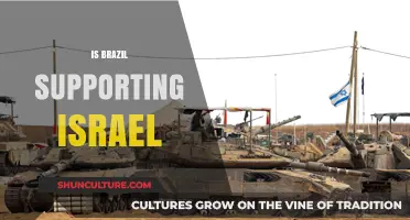 Brazil's Stance on Israel: Unraveling Diplomatic Ties and Allegiances