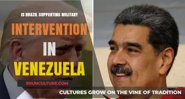 Brazil's Stance on Potential Military Intervention in Venezuela: Analysis
