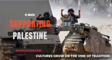 Brazil's Stance on Palestine: Support, Neutrality, or Strategic Diplomacy?