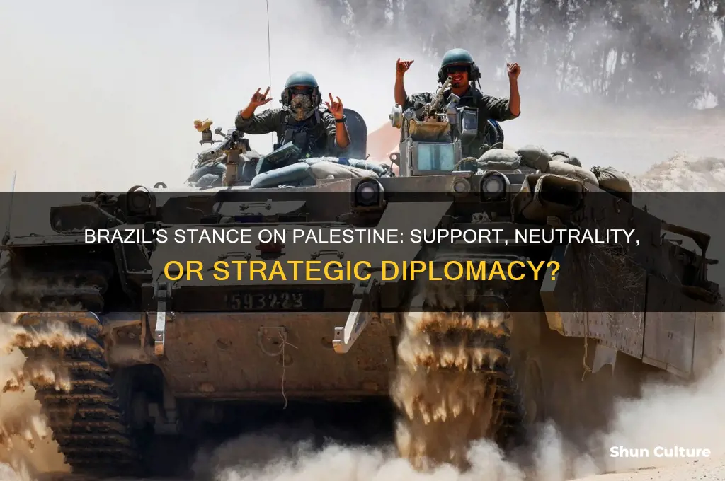 is brazil supporting palestine