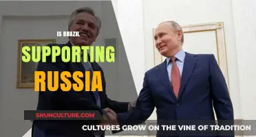 Brazil's Stance on Russia: Neutrality or Strategic Support?