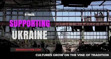 Brazil's Stance on Ukraine: Support, Neutrality, or Strategic Ambiguity?