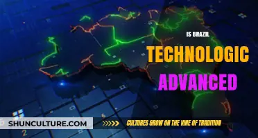 Brazil's Tech Landscape: Innovation, Challenges, and Global Competitiveness